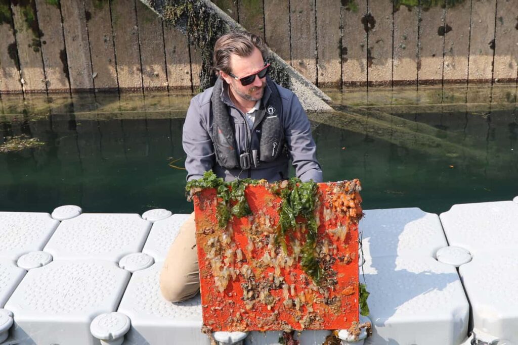 Centre for Marine Biofouling and Corrosion