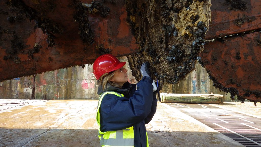 AY Hull Inspection Survey
