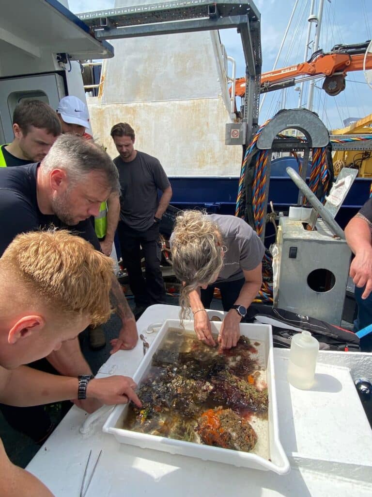 Sample Analysis | Diver Biosecurity Training