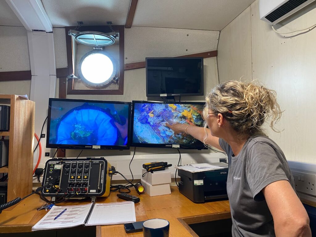 Biofouling Sample | Diver Biosecurity Training