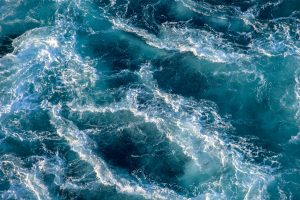 PML Applications to Participate in Ocean Visions Biennial Summit 2025