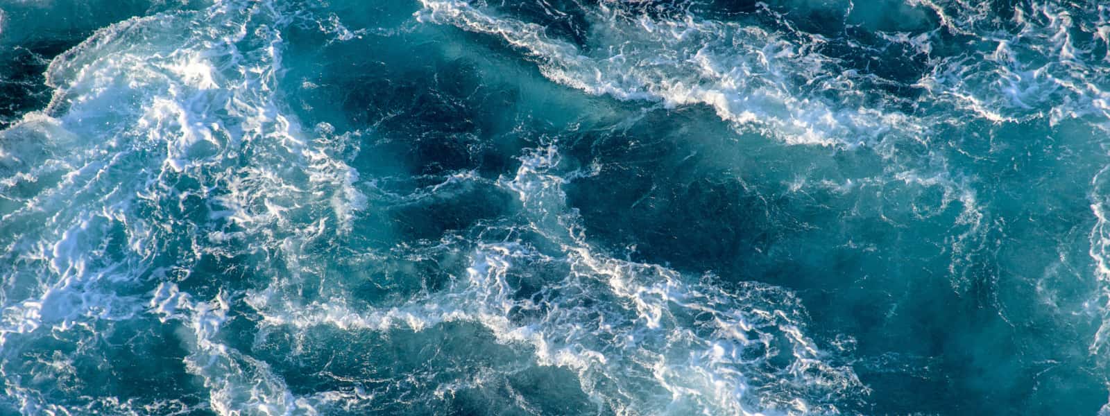 PML Applications to Participate in Ocean Visions Biennial Summit 2025