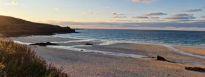Top 10 Areas We Are Supporting the Progression Towards a Healthier Ocean for Nature and Society