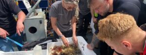 First Participants Complete PML Application’s Pioneering UK Diver Biosecurity Survey Training to Search for Non-Native Species on Vessels